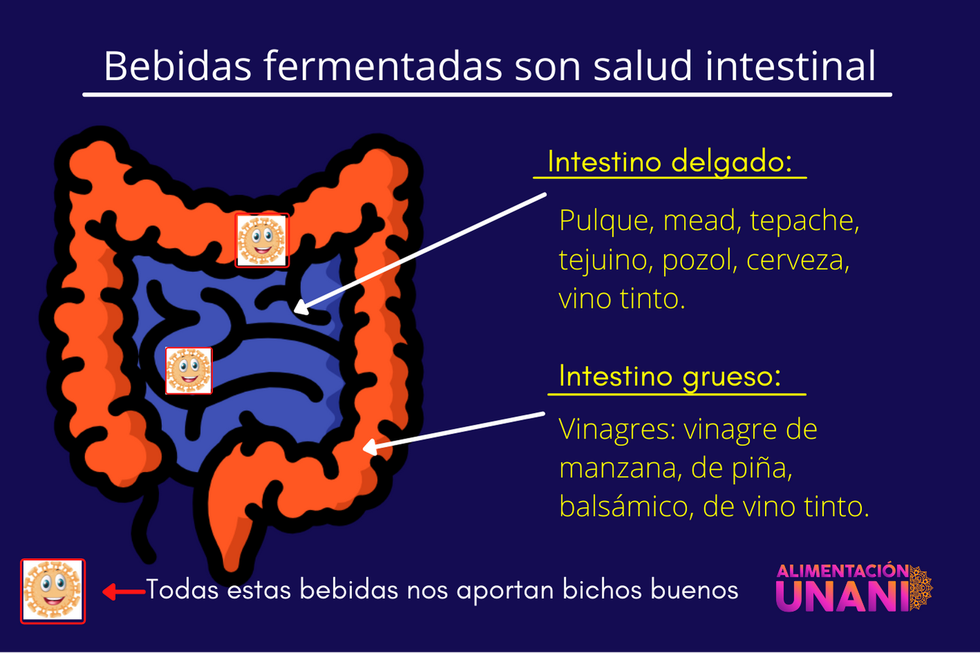 Bebidas fermentadas y salud intestinal