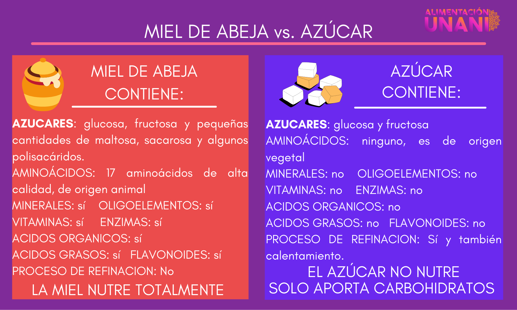 Miel de Abeja vs. Azúcar