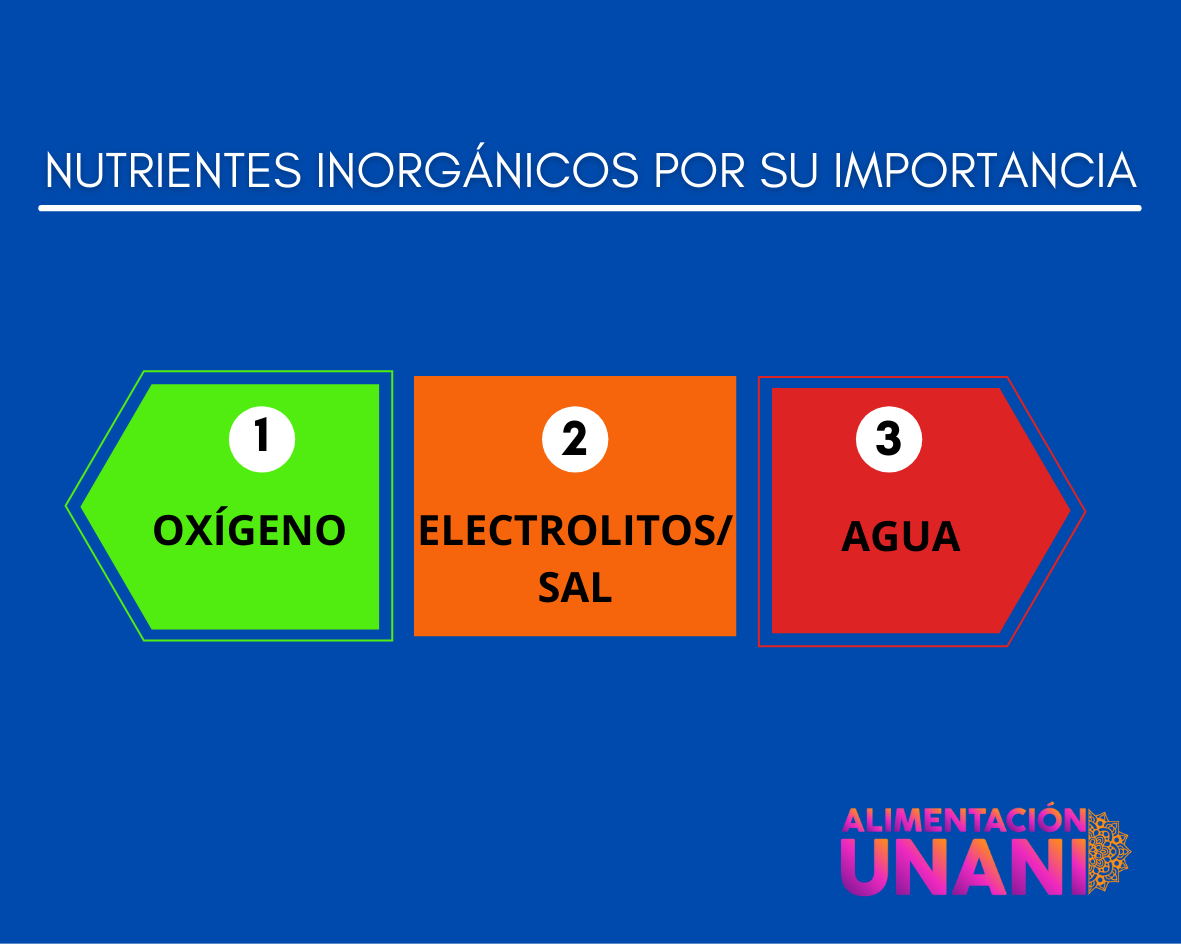 NUTRIENTES INORGANICOS POR SU IMPORTANCIA