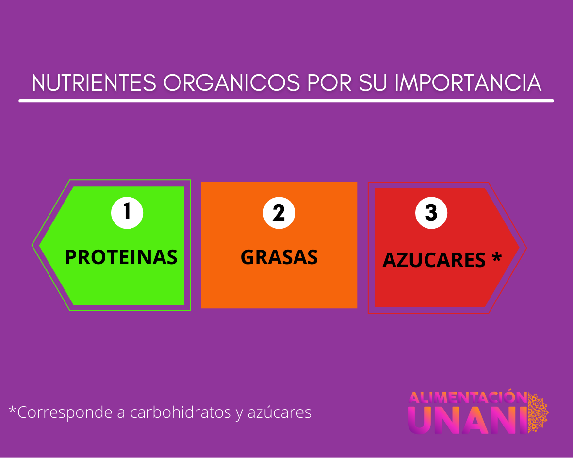 NUTRIENTES ORGANICOS POR SU IMPORTANCIA