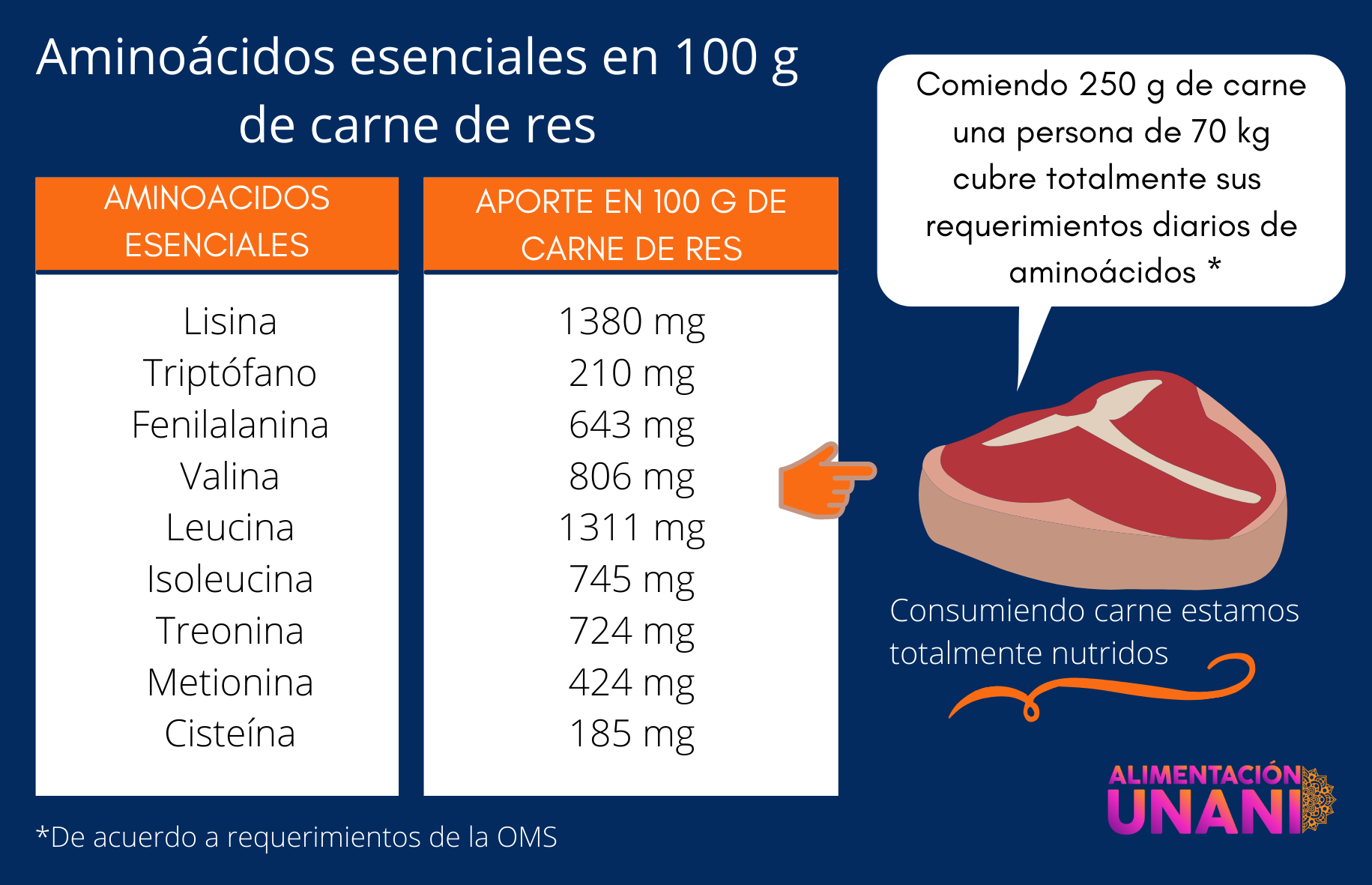 Aminoácidos esenciales en 100 g de carne de res