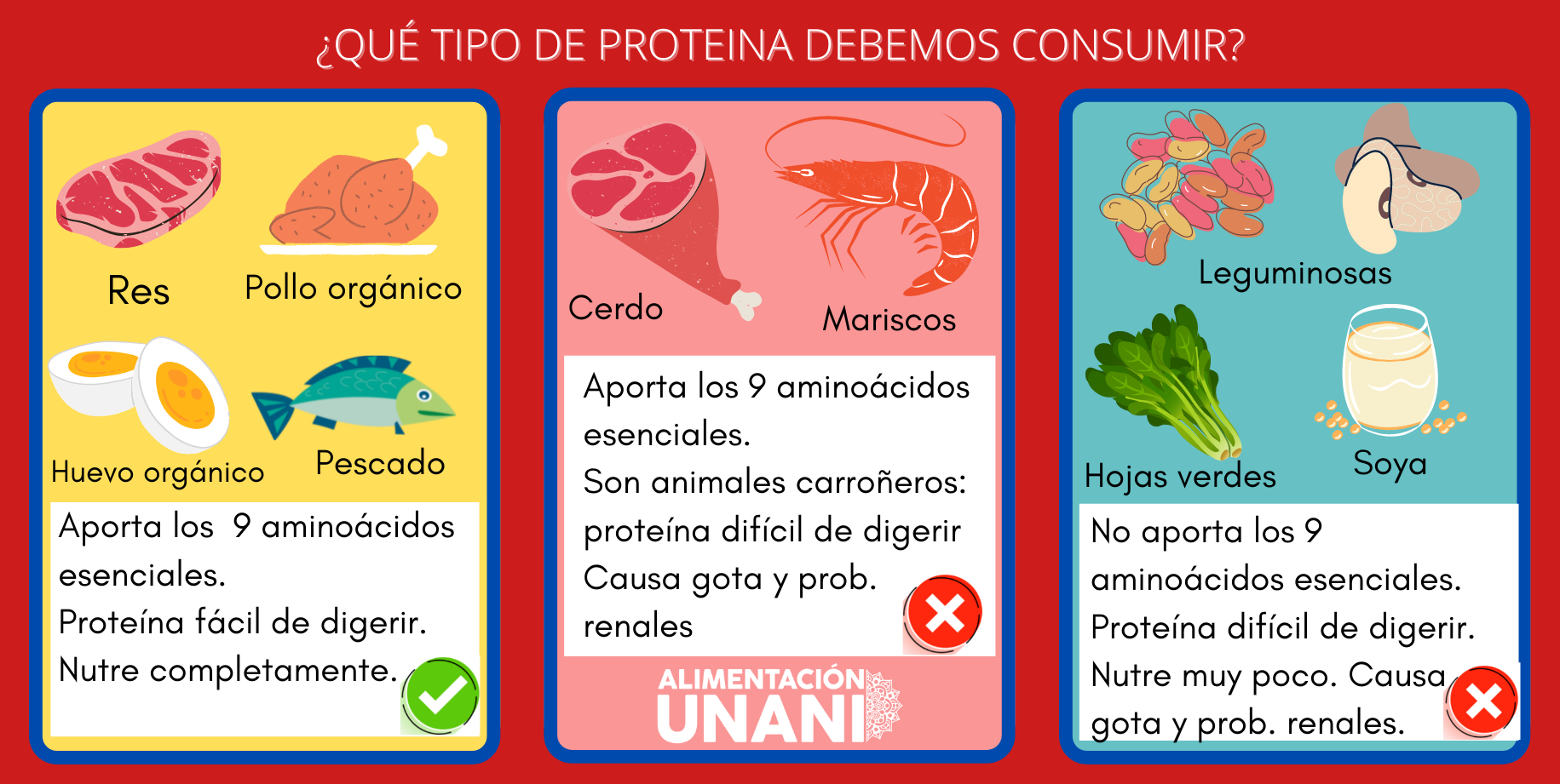 TIPO DE PROTEINA DEBEMOS CONSUMIR